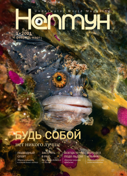 Журнал «Нептун» 2021