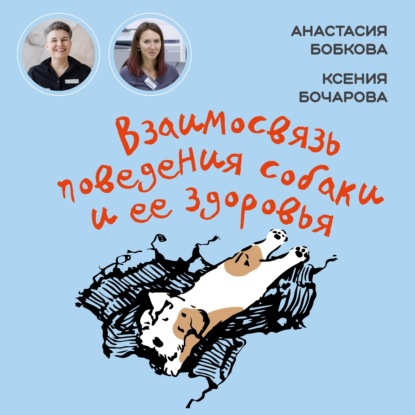 Я привез собаку домой. Что делать?