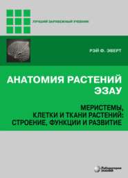 Анатомия растений Эзау. Меристемы, клетки и ткани растений: строение, функции и развитие