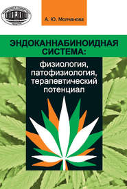 Эндоканнабиноидная система: физиология, патофизиология, терапевтический потенциал