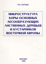 Микроструктура коры основных лесообразующих лиственных деревьев и кустарников Восточной Европы