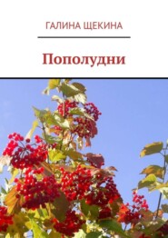 Пополудни. Книга стихов