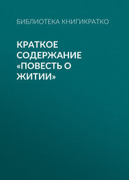 Краткое содержание «Повесть о житии»