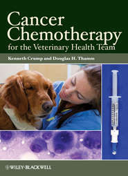 Cancer Chemotherapy for the Veterinary Health Team