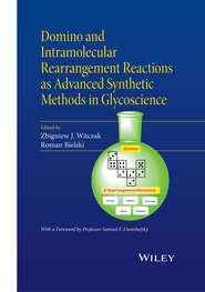 Domino and Intramolecular Rearrangement Reactions as Advanced Synthetic Methods in Glycoscience