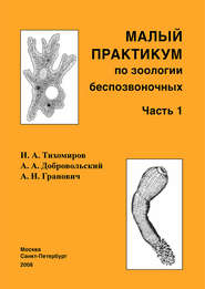 Малый практикум по зоологии беспозвоночных. Часть 1