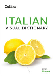 Collins Italian Visual Dictionary