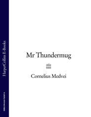 Mr Thundermug