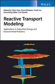 Reactive Transport Modeling