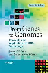 From Genes to Genomes