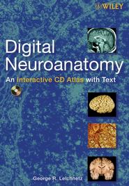 Digital Neuroanatomy