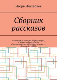 Сборник рассказов. «Загадочная история на реке Бирь», «Случай на трассе М-5», «Осиное гнездо», «Сюрприз в дорогу», «Домовой», «2020»