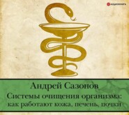 Системы очищения организма: как работают кожа, печень, почки