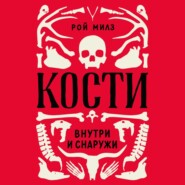 Кости: внутри и снаружи