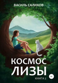 Космос Лизы. Книга 2