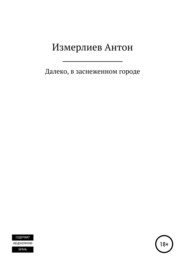 Далеко, в заснеженном городе