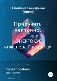 Приручить нейтрино, или «Энергокуб инженера Гагарина»