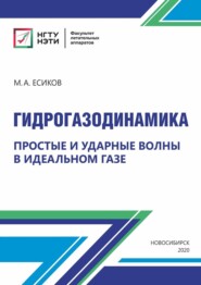 Гидрогазодинамика. Простые и ударные волны в идеальном газе