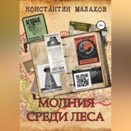 Молния среди леса