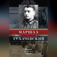 Маршал Тухачевский. Мозаика разбитого зеркала