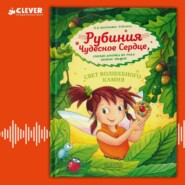 Рубиния Чудесное Сердце, смелая девочка из рода лесных эльфов. Свет волшебного камня