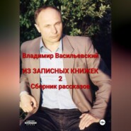Из записных книжек 2. Сборник рассказов.