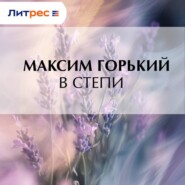 В степи