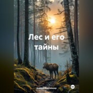 Лес и его тайны