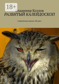 Разбитый калейдоскоп. Современная версия «На дне»