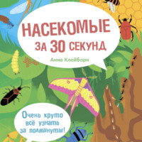 Насекомые за 30 секунд