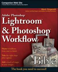 Adobe Photoshop Lightroom and Photoshop Workflow Bible