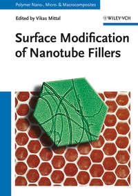 Surface Modification of Nanotube Fillers