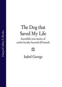 The Dog that Saved My Life: Incredible true stories of canine loyalty beyond all bounds