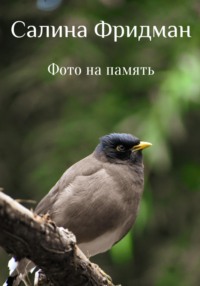 Фото на память