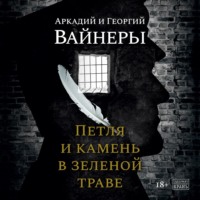 Петля и камень в зеленой траве