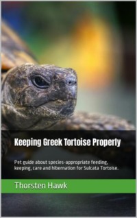 Keeping Greek Tortoise Properly