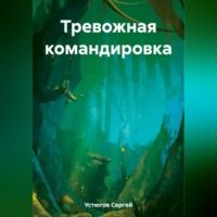 Тревожная командировка