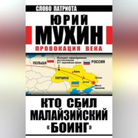 Кто сбил малайзийский «Боинг». Провокация века