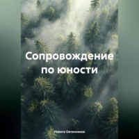 Сопровождение по юности