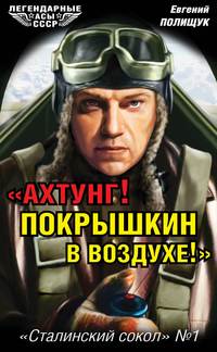 «Ахтунг! Покрышкин в воздухе!». «Сталинский сокол» № 1