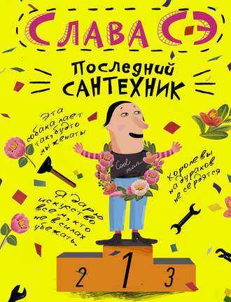 Последний сантехник