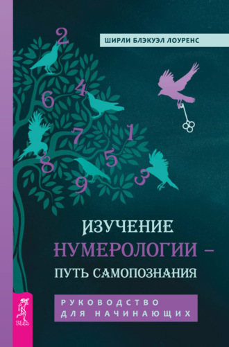 Изучение нумерологии – путь самопознания. Руководство для начинающих