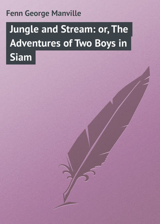 Jungle and Stream: or, The Adventures of Two Boys in Siam