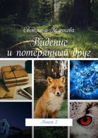 Видение и потерянный друг. Книга 2