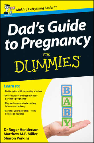 Dad&apos;s Guide to Pregnancy For Dummies