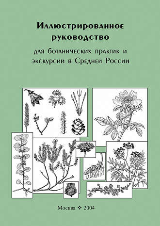 Иллюстрированное руководство для ботанических практик и экскурсий в Средней России