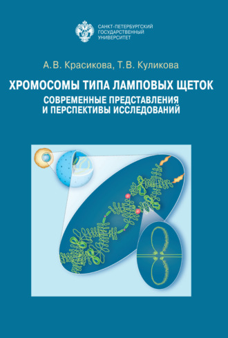 Хромосомы типа ламповых щеток. Современные представления и перспективы исследований